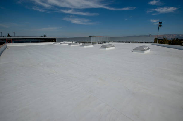 Best Skylight Installation and Repair  in Dallastown, PA